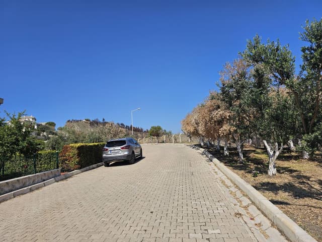 Photo 3 by hasan D. (10/22/25)