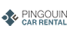 Pingouin Car Rental at Mauritius Airport