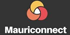 Mauriconnect Car Rental Mauriconnect Car Rental