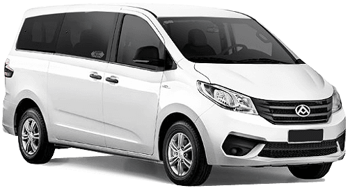 LDV G10