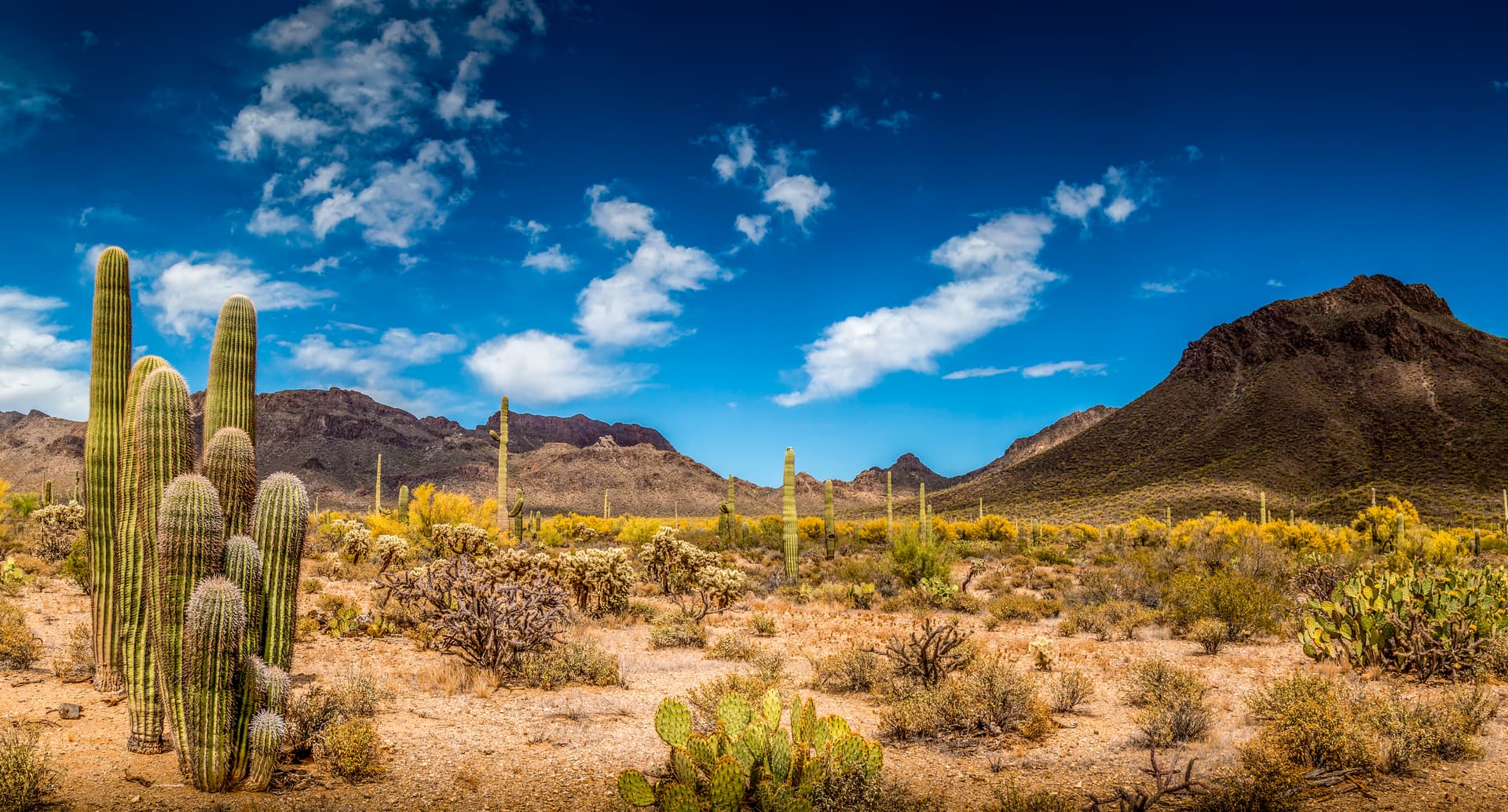 USA - Arizona