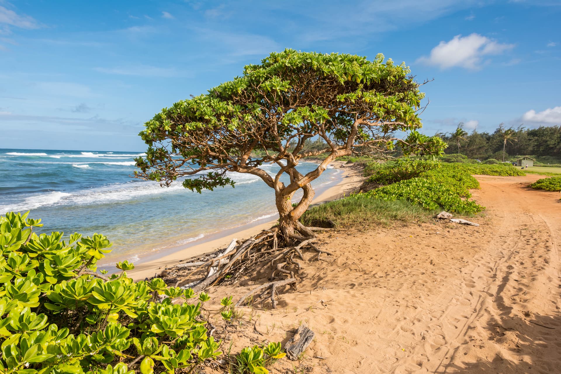 Lihue Airport