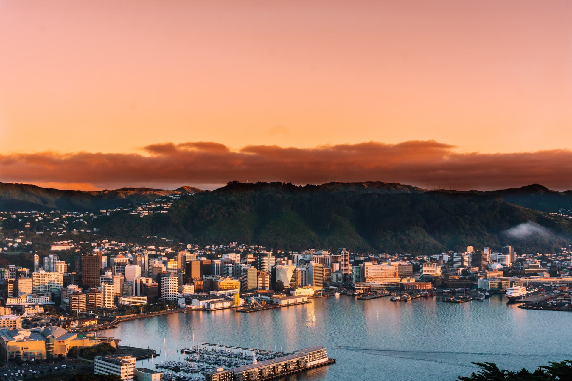Wellington Airport