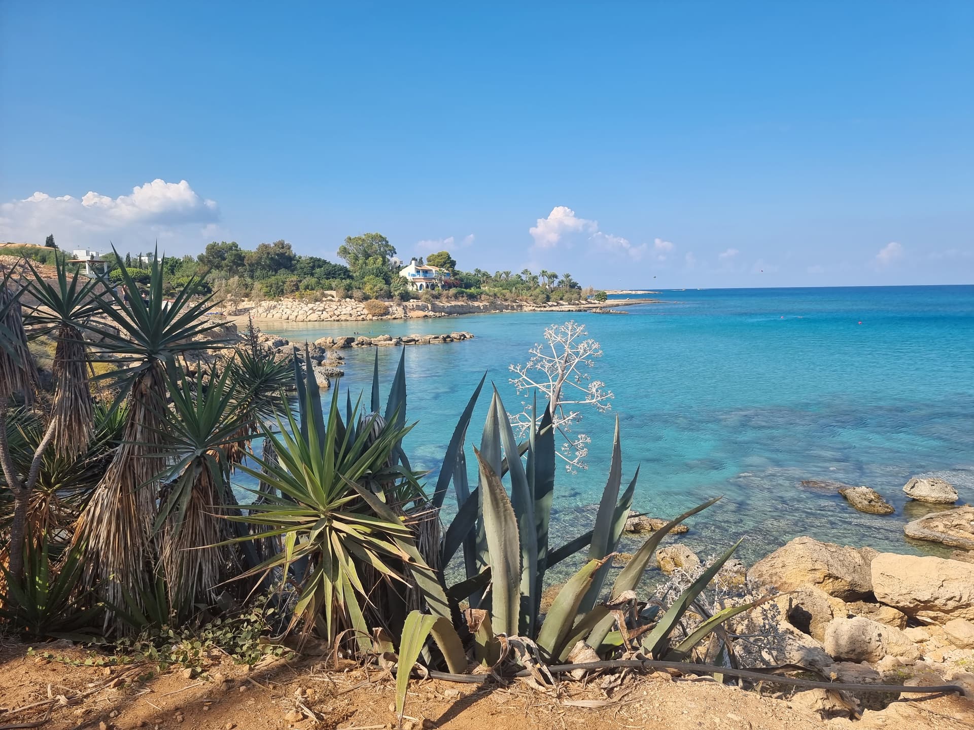 Larnaca