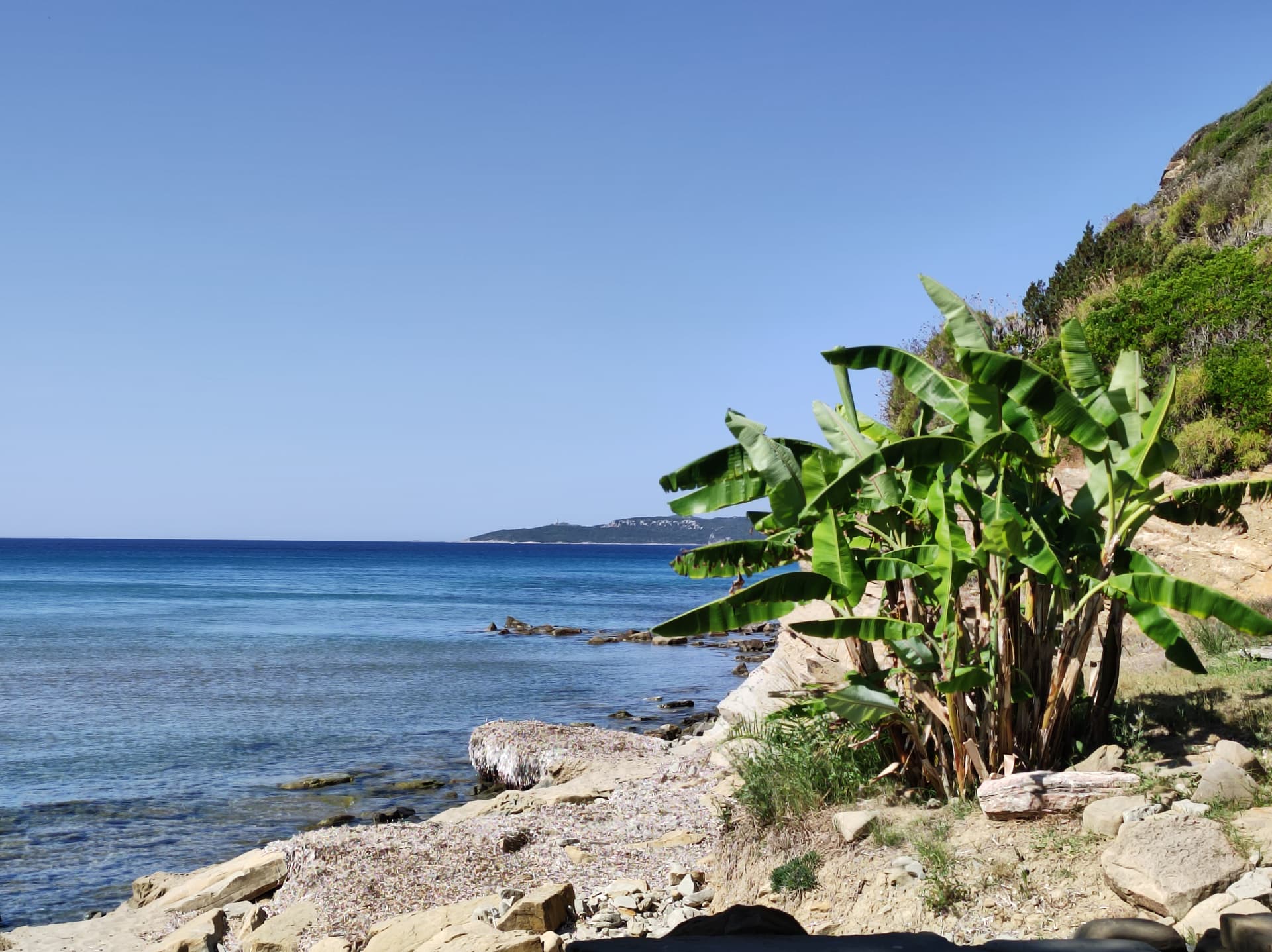 Kalamata