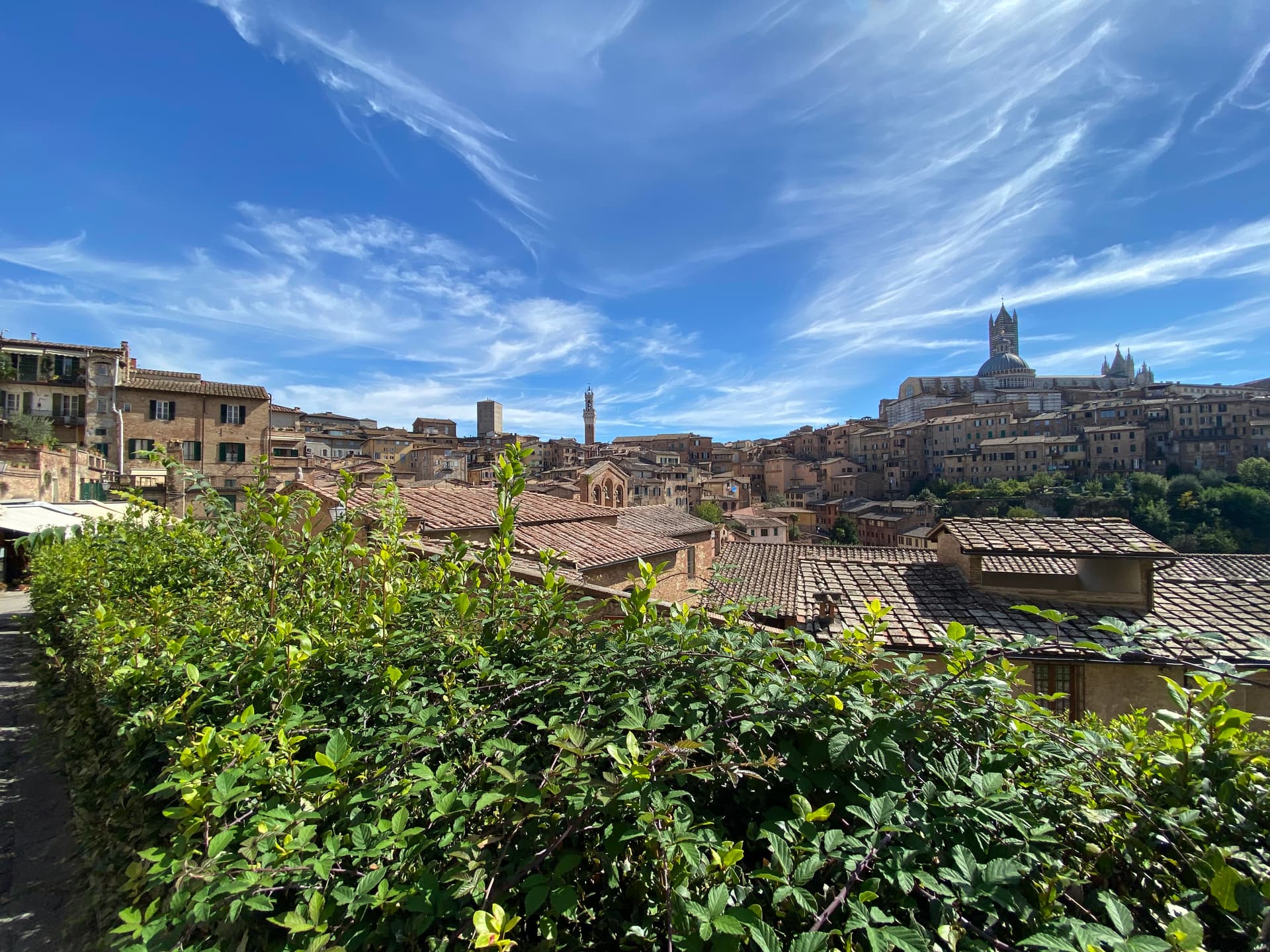 Bologna