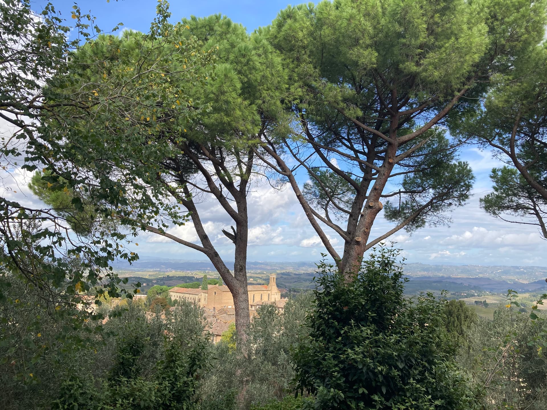 Florence