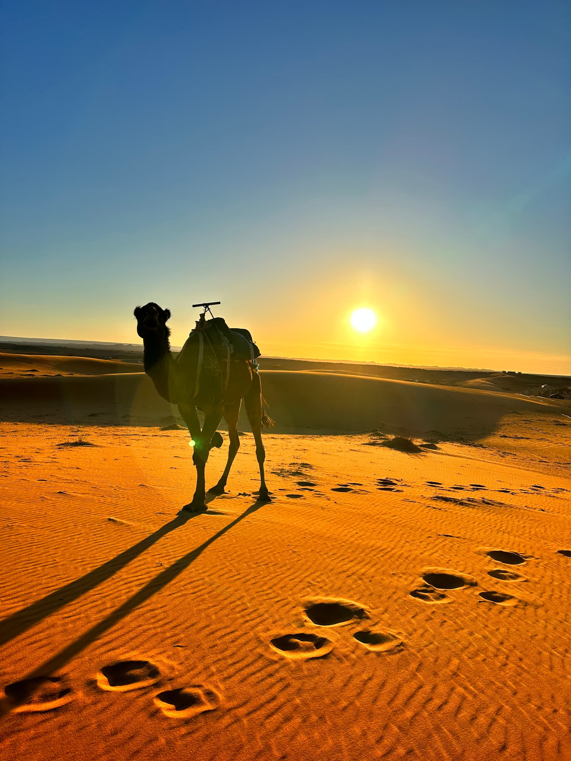 Ouarzazate