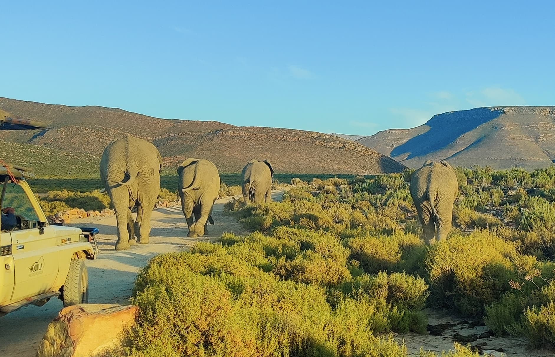 Cape Town
