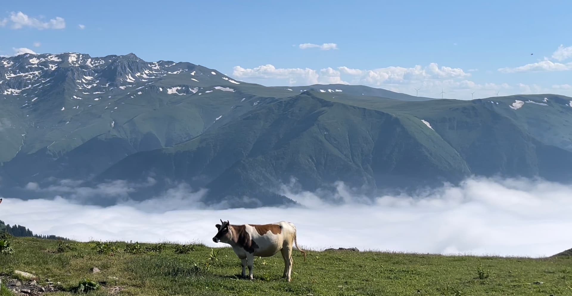 Trabzon