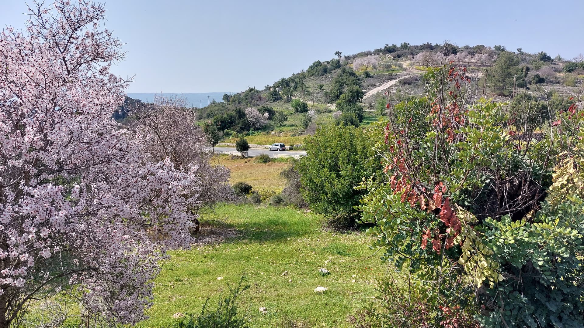 Paphos Airport