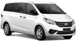 LDV G10