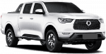 GWM P-Series