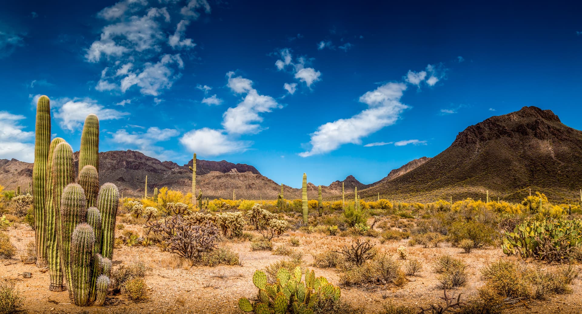 USA - Arizona