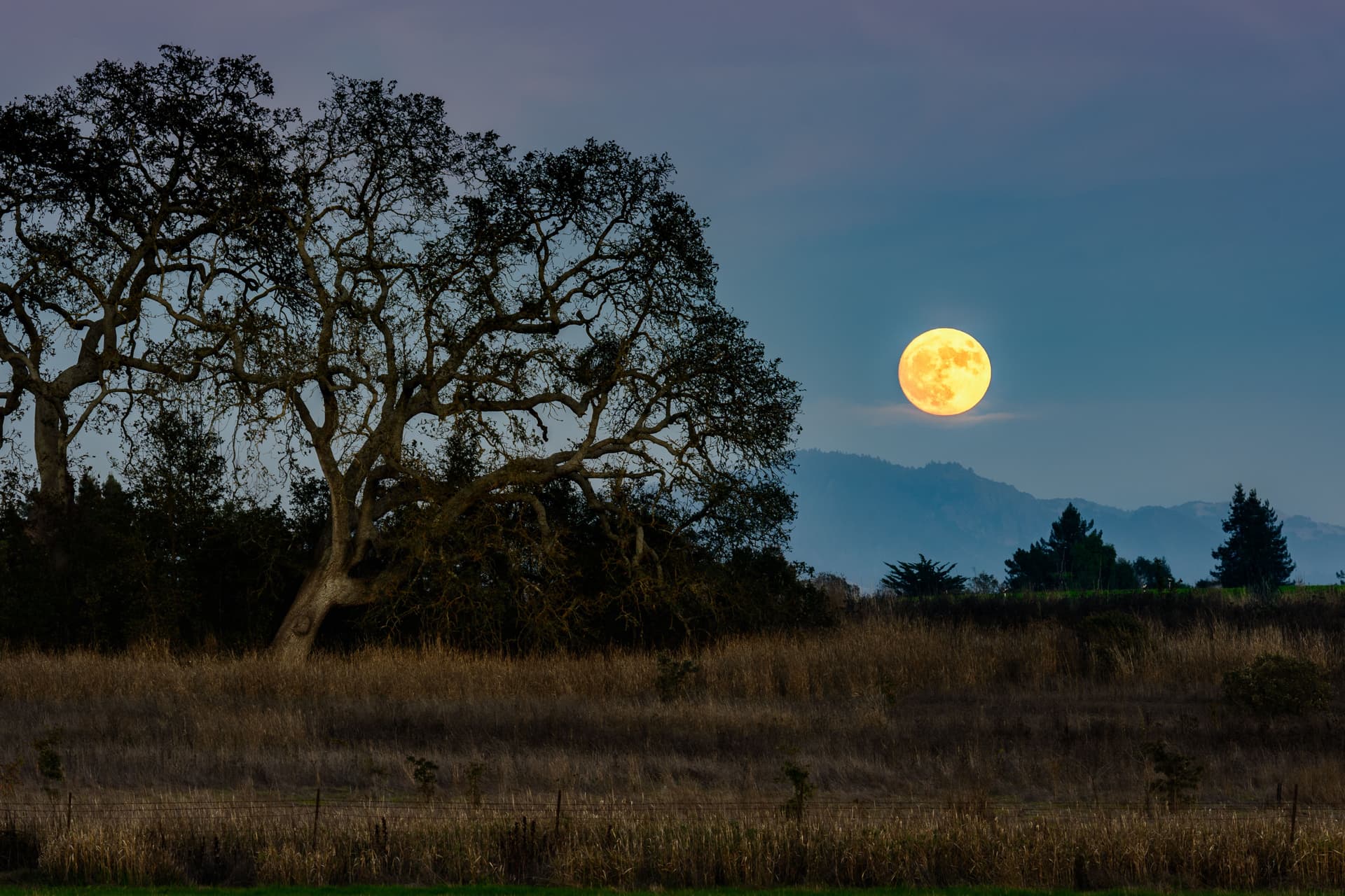 Charles M. Schulz–Sonoma County Airport