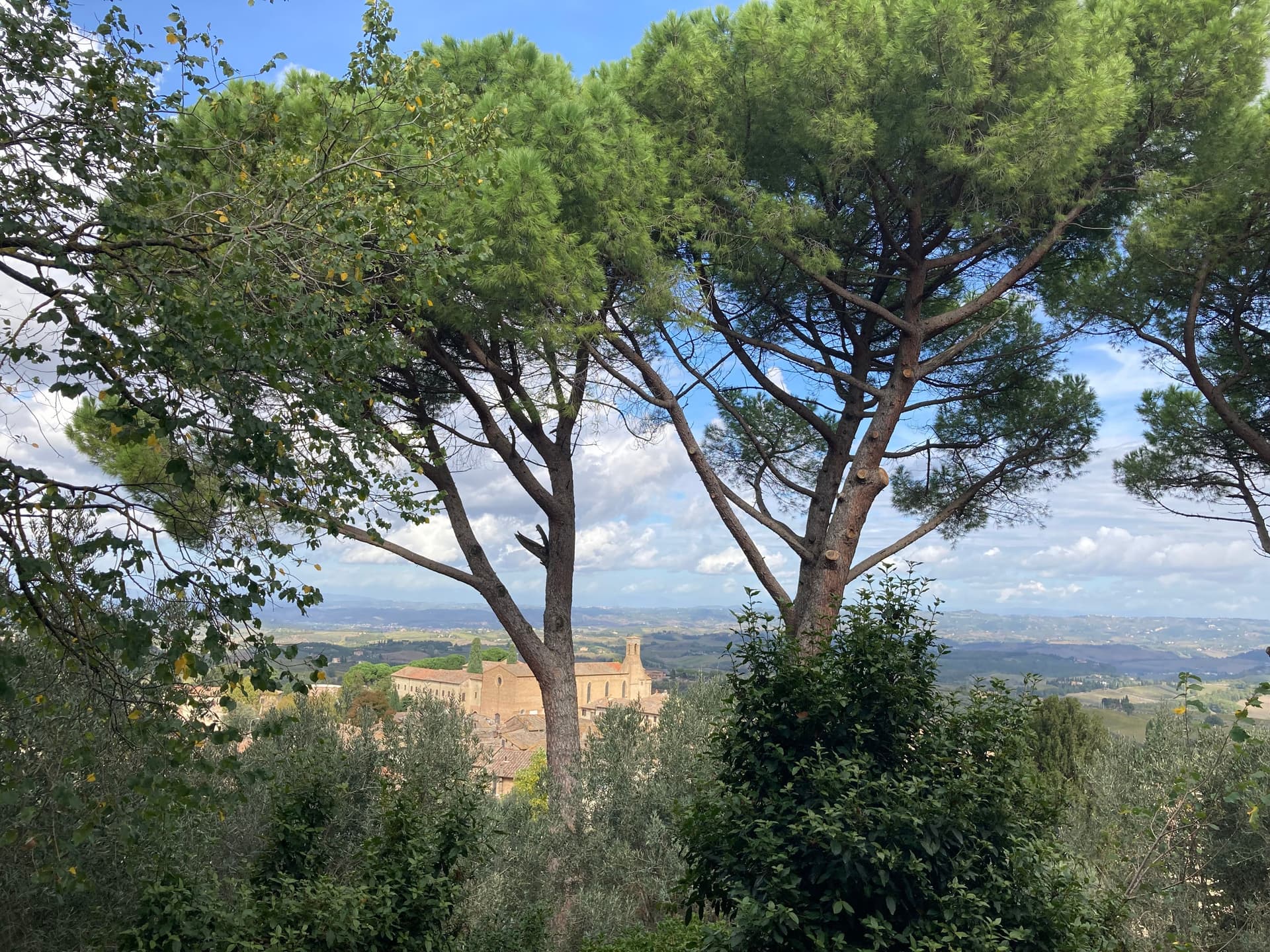 Florence