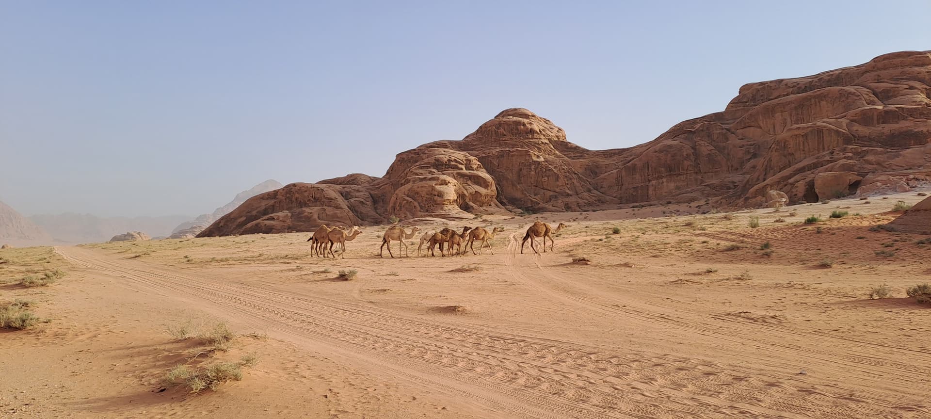 Jordania