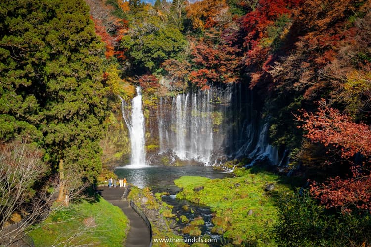 Best Car Rental Comparison Sites in 2026 – Tested & Compared