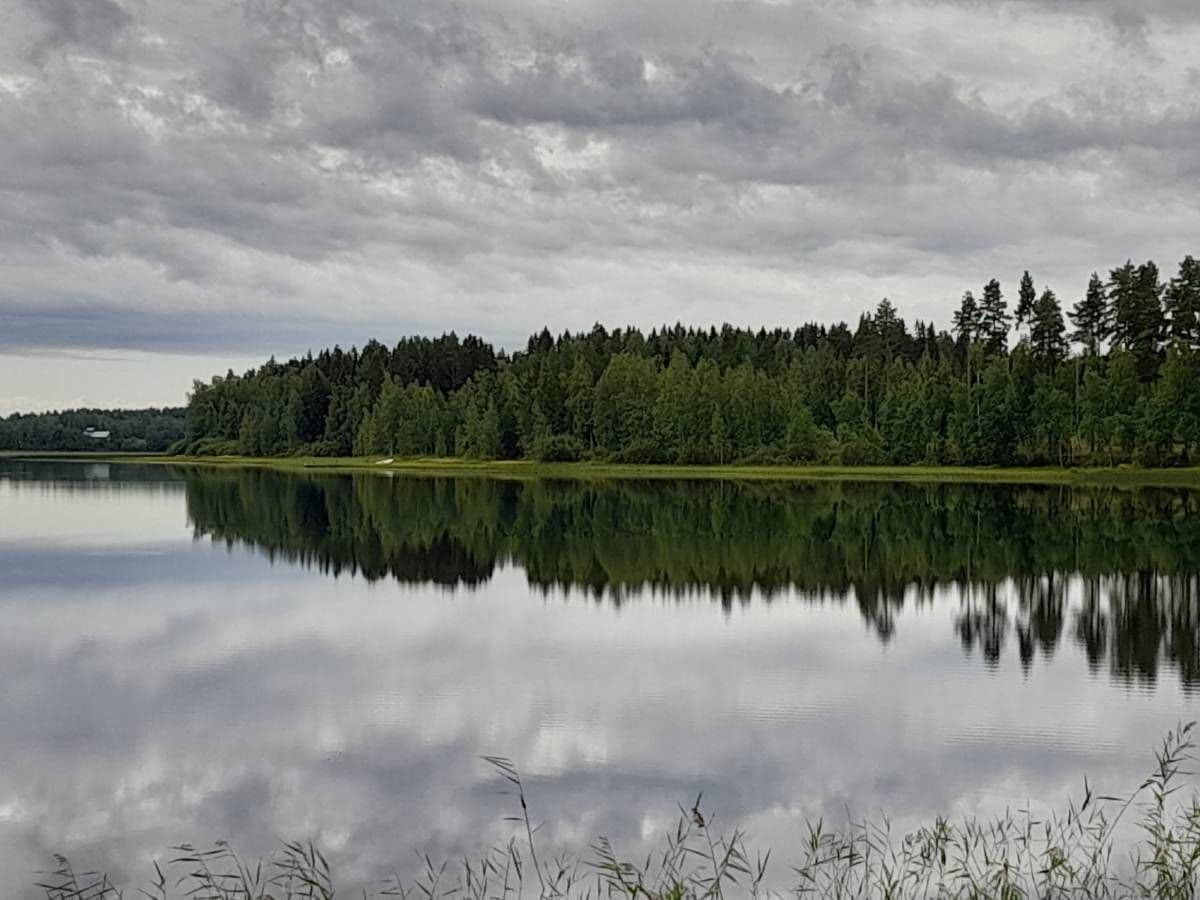Green trees reflected in a Finnish lake