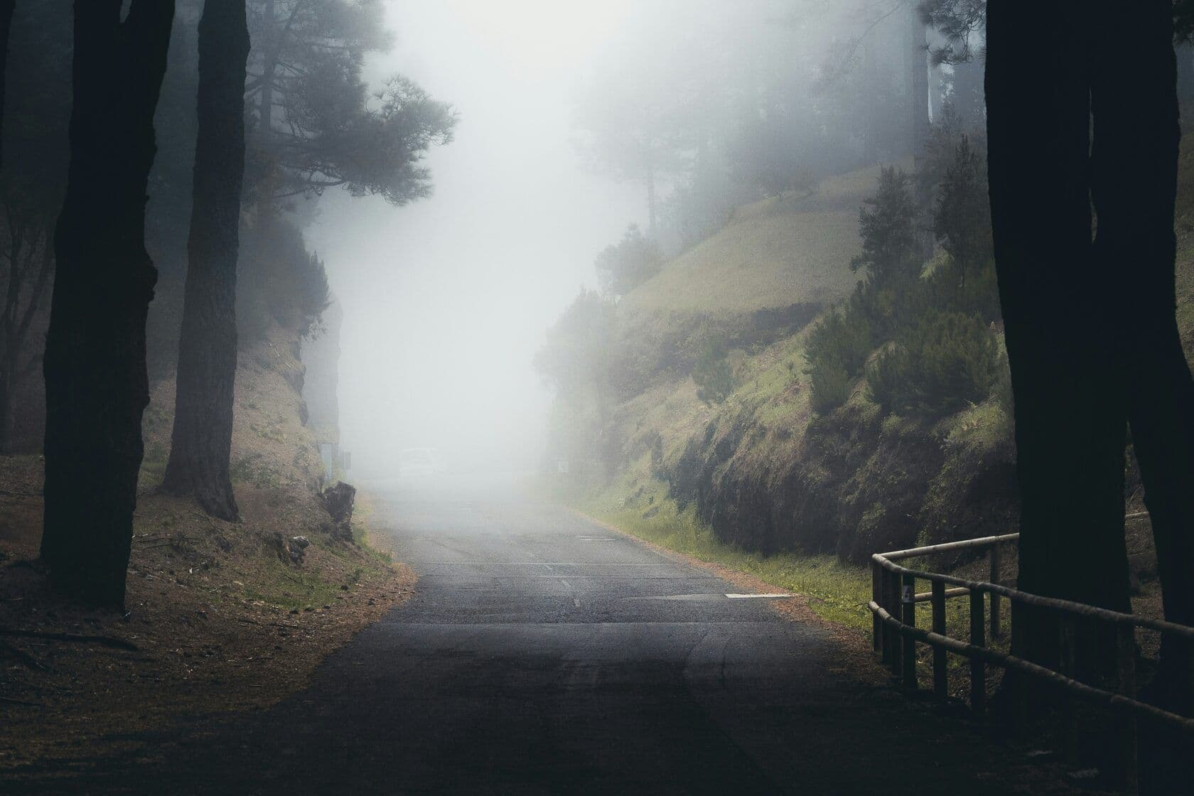 Foggy mountain road winding through a forest with a car in the distance.