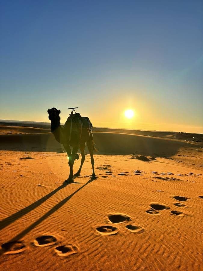 Ouarzazate