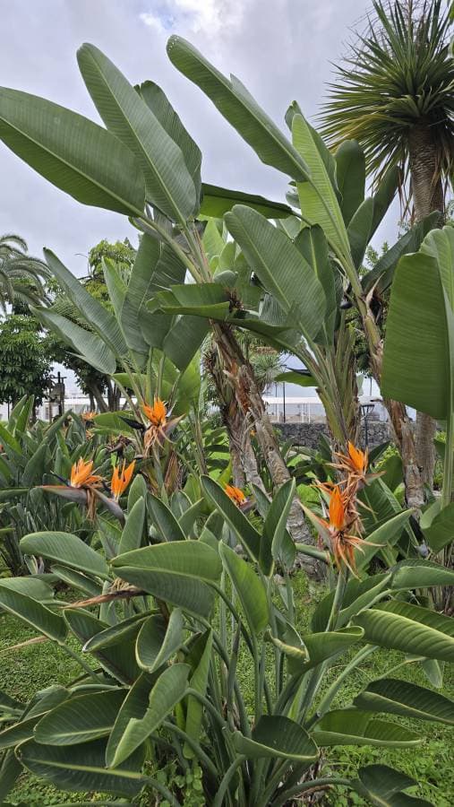 Fotografia 1 realizată de Cristina M. (06.12.25)