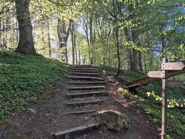 Photo 1 by Taras B. (5/9/26)