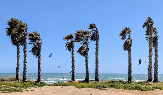 Photo 1 by Simon D. (4/1/26)