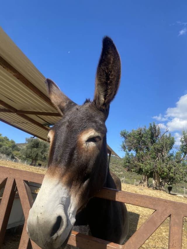 Photo 1 by Stewart L. (10/22/25)