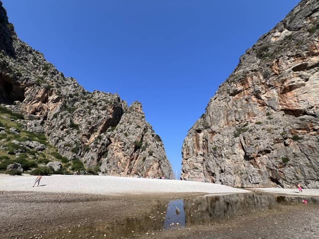 Fotografia 1 realizată de Stefan Alin N. (17.08.25)