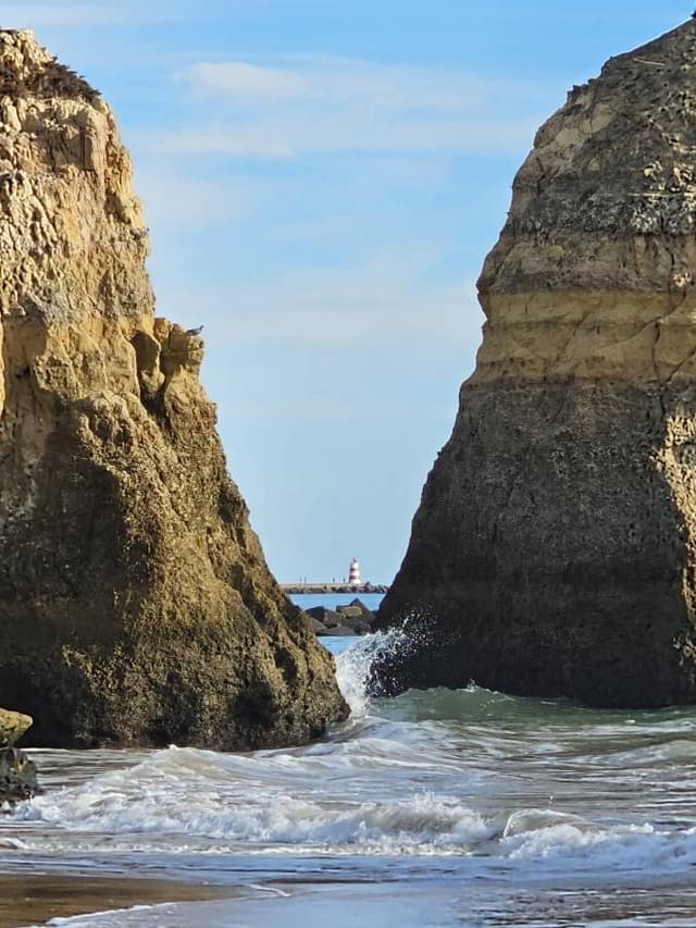 Photo 1 by Sylvia V. (11/5/25)