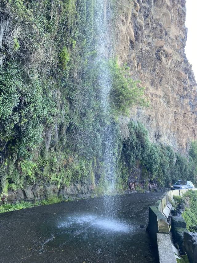 Foto 1 van Gilbert G. (6-8-24)