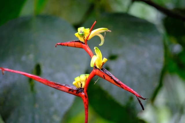 Foto 1 di Massimiliano C. (07/01/26)