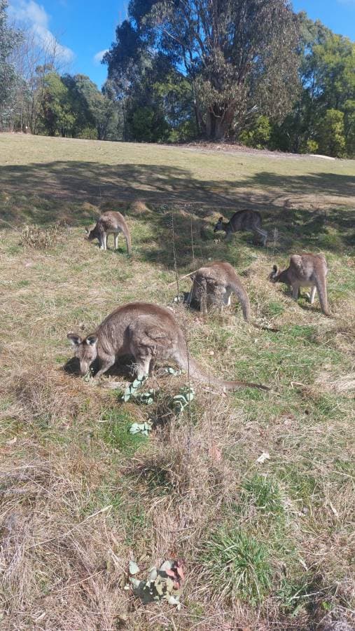Foto 1 van Maytham M. over het huren van een Mitsubishi ASX in Sydney (3-9-24)