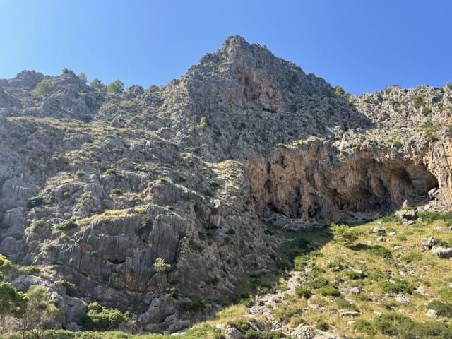 Fotografia 2 realizată de Stefan Alin N. (17.08.25)