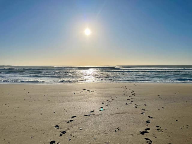 Photo 1 by Leslie S. about hiring a Toyota Corolla in Cape Town (05.09.24)