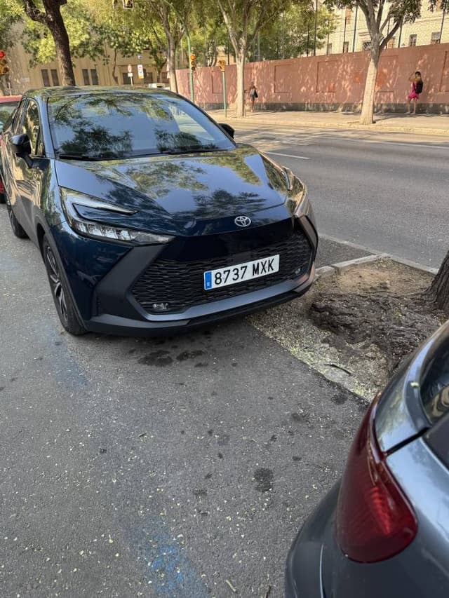 Фото 1 от Alisher K. об аренде Toyota Corolla на Балеарских островах (22.07.25)