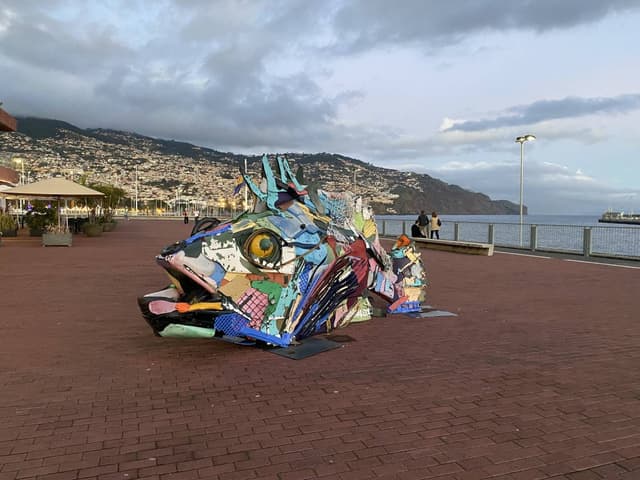 Foto de Andre Domingos P. sobre o aluguer de um Fiat 500 em Madeira (10/01/24)