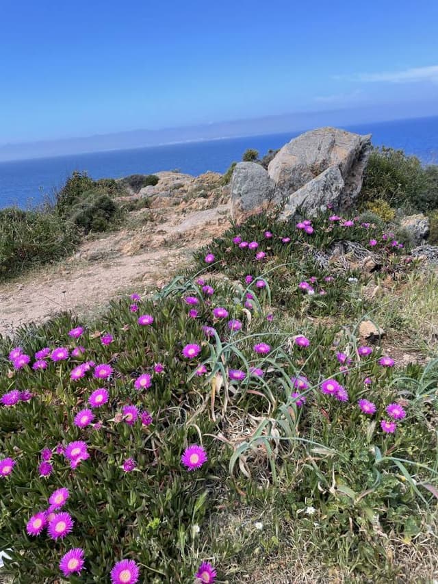 Photo by Renato K. (4/10/26)