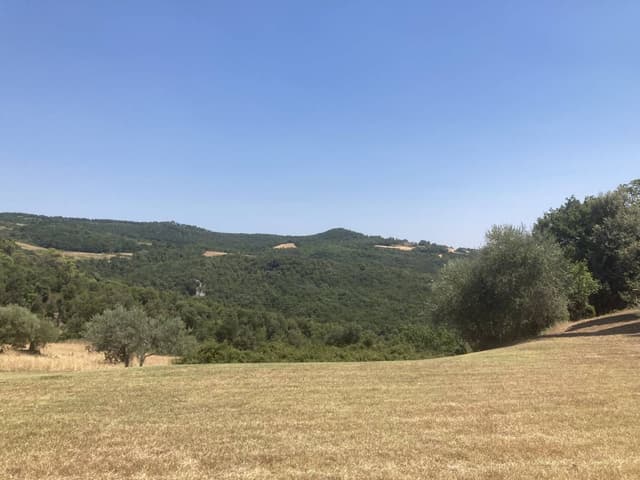 Photo 1 by Michael M. about hiring a Opel Vivaro in Pisa (28.07.22)