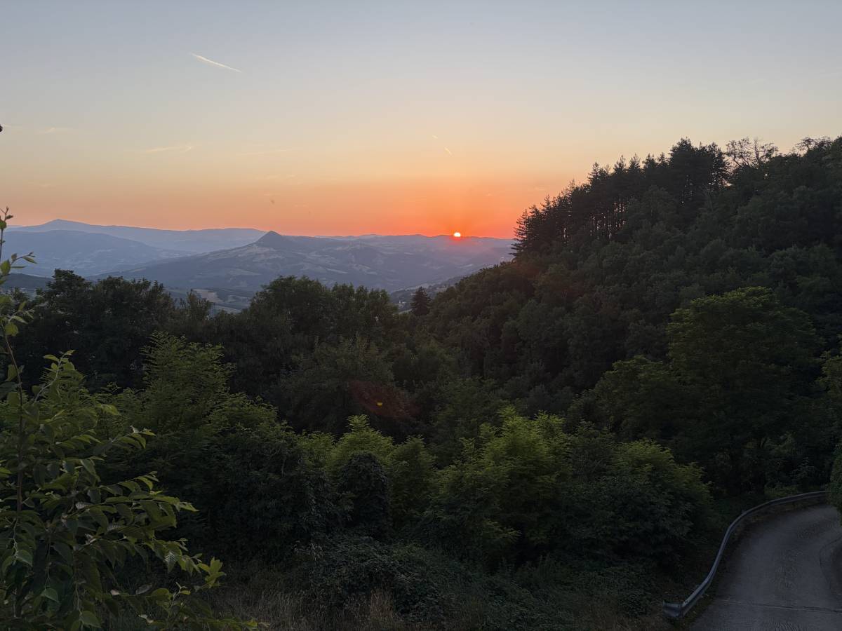 Photo 1 by Edward G. (6/19/26)