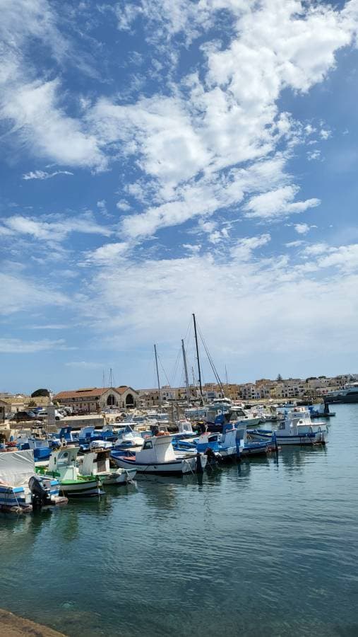 Zdjęcie 1 wykonane przez Joanna N. (27.06.24)