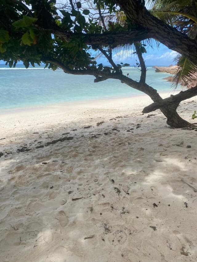 Foto 1 di mauro V. (17/07/23)