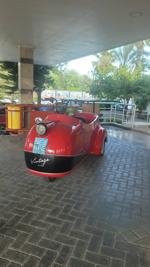 Photo 1 par ALLAL D. (22/04/26)