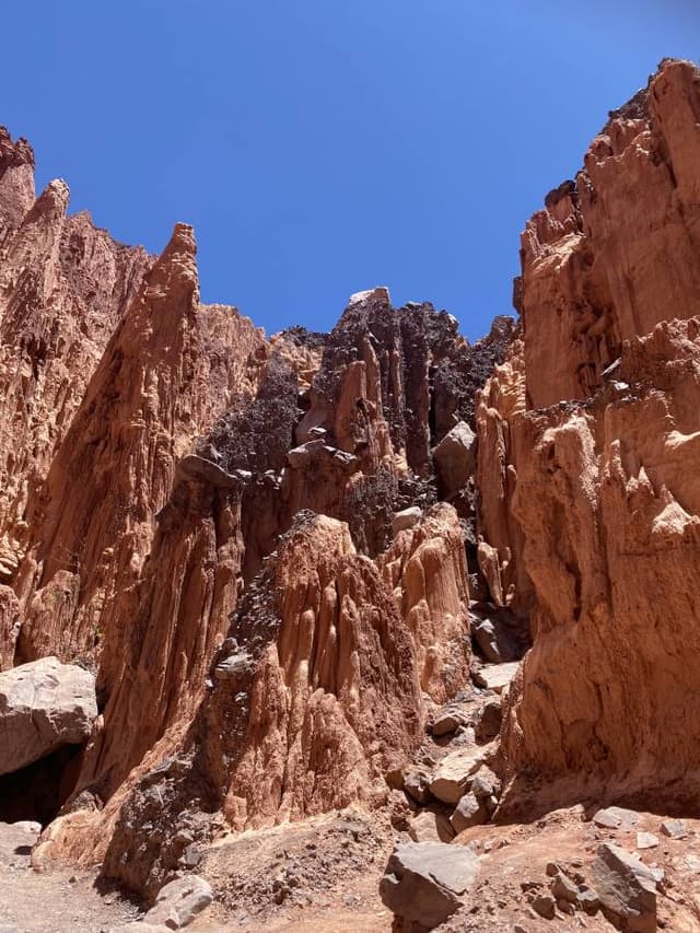 Photo 1 by Peter J. (11/5/25)