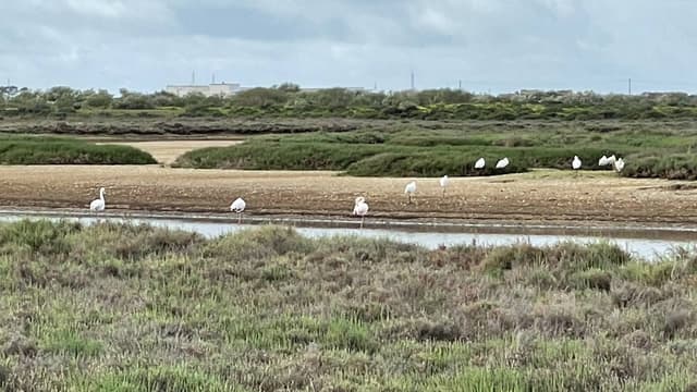 Foto 1 van Paul B. (29-2-24)