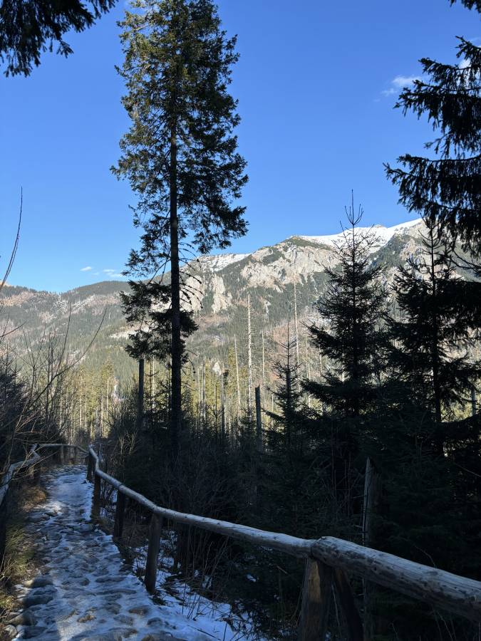 Photo 1 by Ruslans Z. (3/25/25)