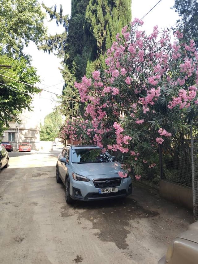 Photo 1 by Jorrit S. about renting a Subaru XV in Tbilisi (6/15/25)
