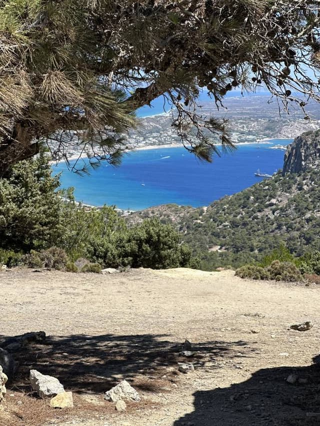 Foto 1 van Jayand G. (3-8-23)