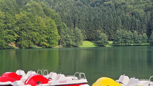 Photo 1 by Milica C. (8/26/25)